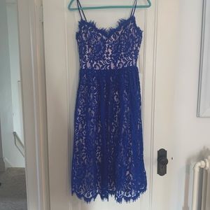 NWT Eliza J blue lace tea length dress